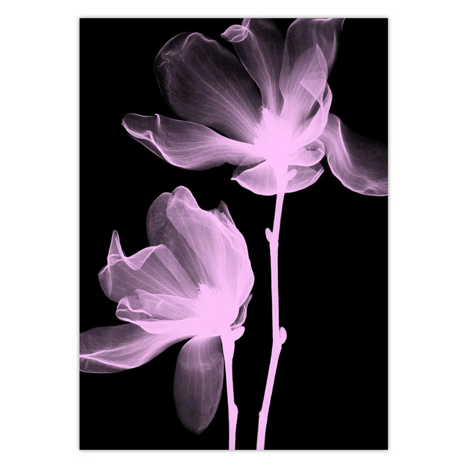 color_opt_9