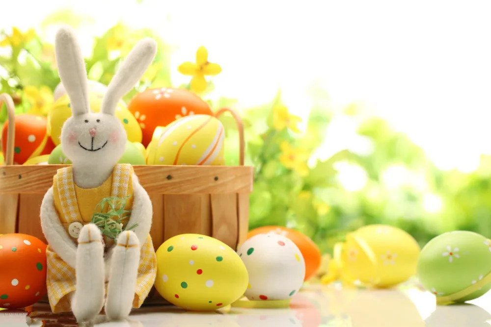 7X5ft Easter Backdrop Vinyl Custom Photography Backdrops Prop Photography Background FH45
7X5ft Easter Backdrop Vinyl Custom Photography Backdrops Prop Photography Background FH45