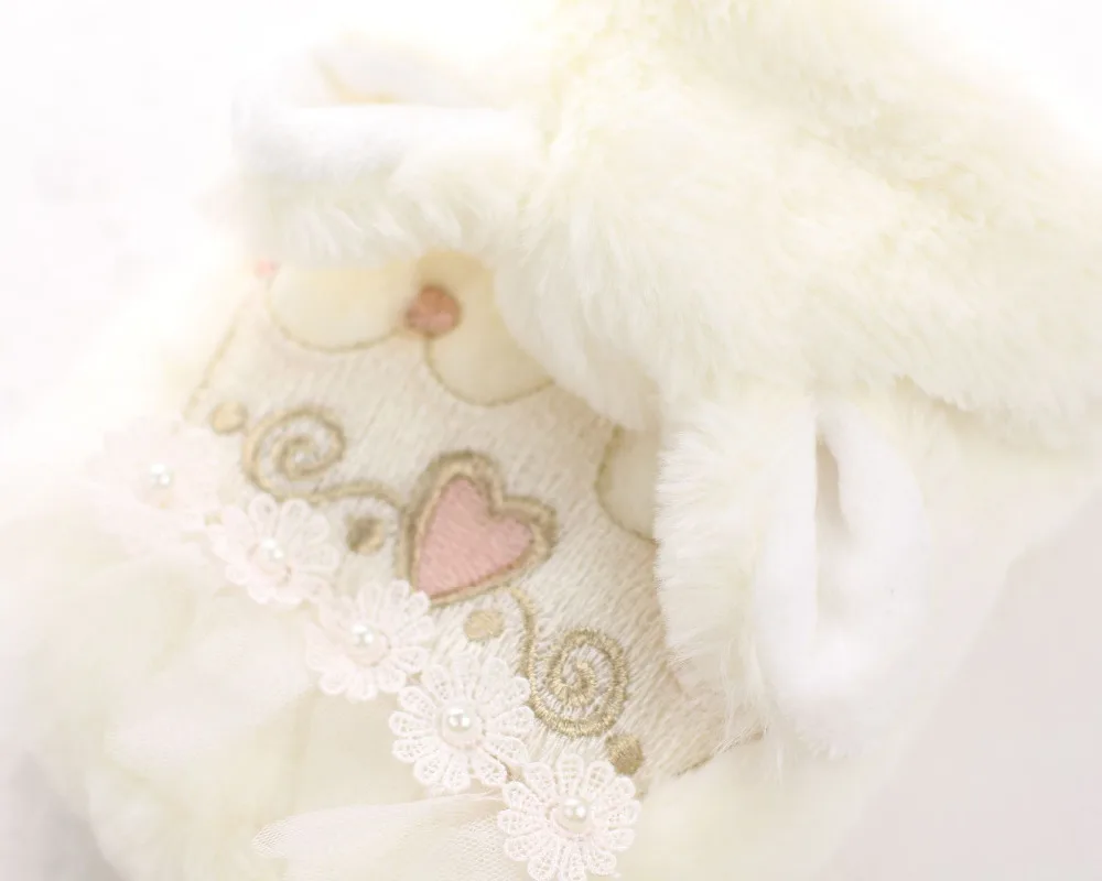 8DN30 (2)