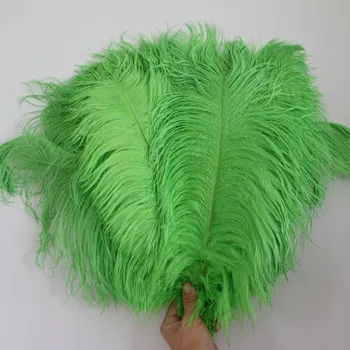 35-40cm /14-16 inch Apple green Ostrich Feathers 30 PCS Plume Bulk for Crafts Wedding Decorative Feathers
35-40cm /14-16 inch Apple green Ostrich Feathers 30 PCS Plume Bulk for Crafts Wedding Decorative Feathers