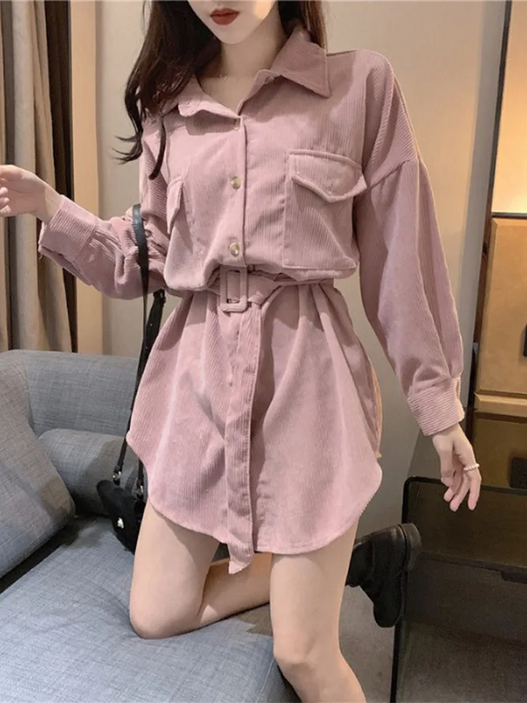 New Women's Wear Chic Small Fragrance Belt Received Waist Long Sleeve Shirt Medium and Long Pure Color Shirt
New Women's Wear Chic Small Fragrance Belt Received Waist Long Sleeve Shirt Medium and Long Pure Color Shirt