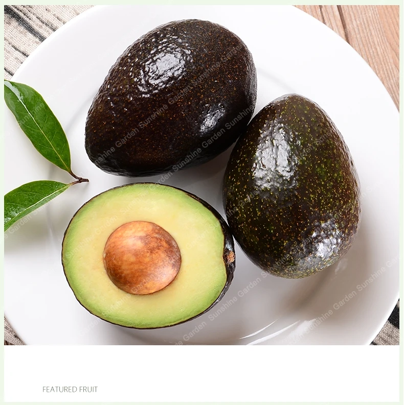 5PCS Rare Real Big Promotion Green Avocado Very Delicious Pear Fruit Very Easy Grow For Home Garden plantas naturais perennial
5PCS Rare Real Big Promotion Green Avocado Very Delicious Pear Fruit Very Easy Grow For Home Garden plantas naturais perennial