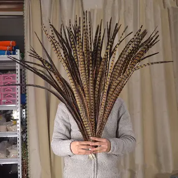Free shipping 10-100pcs high quality pheasant feather 22-24 inches / 55-60cm Carnival clothing accessories center
Free shipping 10-100pcs high quality pheasant feather 22-24 inches / 55-60cm Carnival clothing accessories center