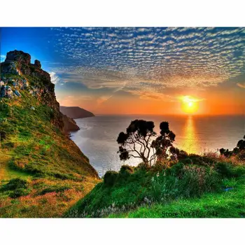 Painting By Numbers Frameworks Coloring By Numbers Pictures Home Decor Canvas Painting By Numbers Decorations RSB8269
Painting By Numbers Frameworks Coloring By Numbers Pictures Home Decor Canvas Painting By Numbers Decorations RSB8269