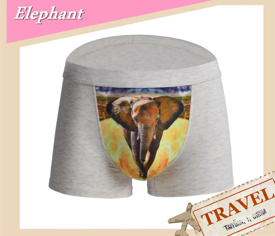 tiger men boxers4