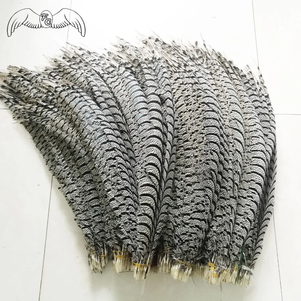 Wholesale 50pcs Natural 80-100cm Lady Amherst Pheasant Tail Feather Zebra Phesant Feather For Carnival/Shamba Decoration
Wholesale 50pcs Natural 80-100cm Lady Amherst Pheasant Tail Feather Zebra Phesant Feather For Carnival/Shamba Decoration