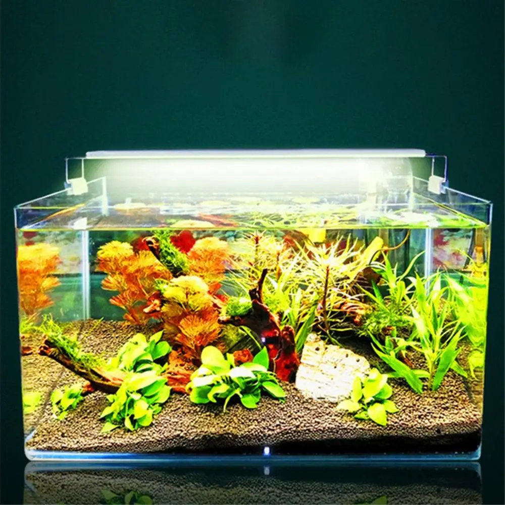 quarium Light Stand Led Aquarium Light Glass Cylinder Aquarium Aquatic Led Sea Water Bracket Light
quarium Light Stand Led Aquarium Light Glass Cylinder Aquarium Aquatic Led Sea Water Bracket Light