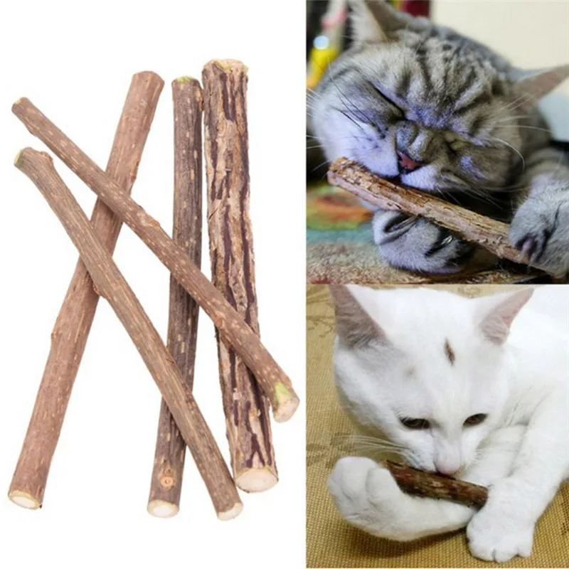 5pcs Natural Catnip Pet Cat Molar Toothpaste Sticks Cleaning Teeth Silvervine Cat Snacks Sticks Pet Supplies
5pcs Natural Catnip Pet Cat Molar Toothpaste Sticks Cleaning Teeth Silvervine Cat Snacks Sticks Pet Supplies