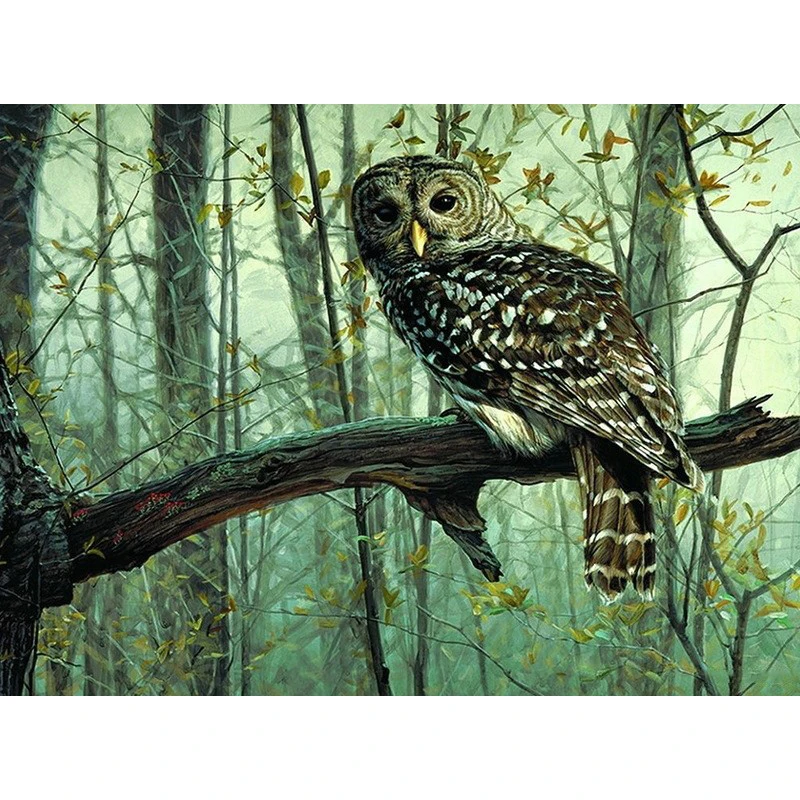 Owl in Green Forest Hand Made Paint High Quality Canvas Beautiful Painting By Numbers Surprise Gift Great Accomplishment
Owl in Green Forest Hand Made Paint High Quality Canvas Beautiful Painting By Numbers Surprise Gift Great Accomplishment