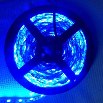 16.4FT 5050 RGB LED Strip 5M 300 Leds SMD Flexible light 60led/M waterproof IP67 24V Lorry Truck Carvan Boat Camp cabinet Decor
16.4FT 5050 RGB LED Strip 5M 300 Leds SMD Flexible light 60led/M waterproof IP67 24V Lorry Truck Carvan Boat Camp cabinet Decor