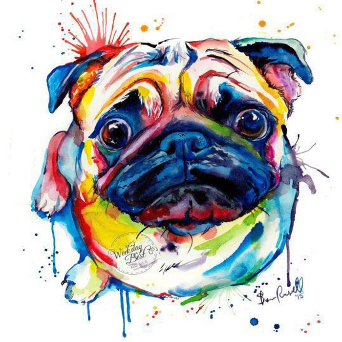 5d diy Diamond Painting kit Pet Dog Colorful Pug diamond painting full square pen Cross Stitch diamond painting Decor Art
5d diy Diamond Painting kit Pet Dog Colorful Pug diamond painting full square pen Cross Stitch diamond painting Decor Art