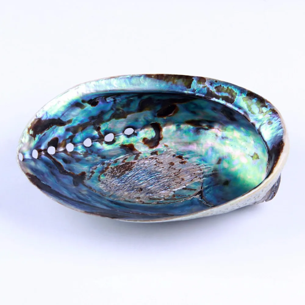yaye 1pc Abalone Shell for Smudging Natural Seashell Home Blessing & Cleansing Starter Kit
yaye 1pc Abalone Shell for Smudging Natural Seashell Home Blessing & Cleansing Starter Kit