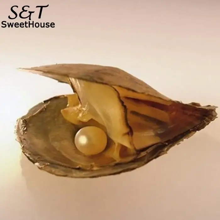 Hot Sale New Pearls One Oyster 6 Pearl Vacuum Packaging Mussel Oyster Oyster(contains pearls) Pearl Gift Giving Pendant Pearls
Hot Sale New Pearls One Oyster 6 Pearl Vacuum Packaging Mussel Oyster Oyster(contains pearls) Pearl Gift Giving Pendant Pearls