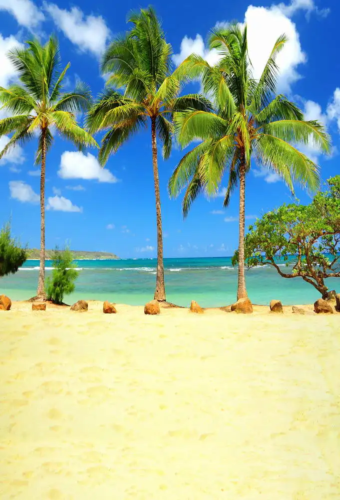 5x7FT Blue Sky Sea Coastline Palm Tree Sand Beach Stones Custom Photo Studio Backdrop Background Vinyl 220cm x 150cm
5x7FT Blue Sky Sea Coastline Palm Tree Sand Beach Stones Custom Photo Studio Backdrop Background Vinyl 220cm x 150cm