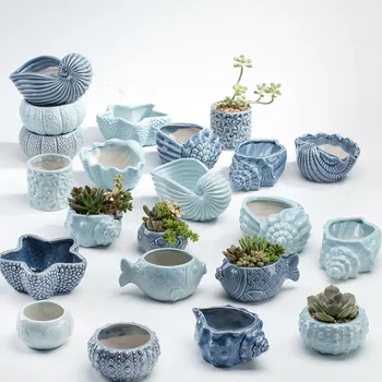 Succulent vaseCombination vase Fleshy flower pot Creative Suit flower pot Special for meat flower pot
Succulent vaseCombination vase Fleshy flower pot Creative Suit flower pot Special for meat flower pot