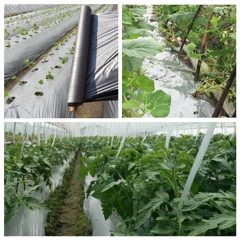 30m 0.02mm PE Plastic Film Silvery Black Reflective Mulch Film Fruit Tree Promoting Plants Photosynthesis Keep Warm Weed Control
30m 0.02mm PE Plastic Film Silvery Black Reflective Mulch Film Fruit Tree Promoting Plants Photosynthesis Keep Warm Weed Control