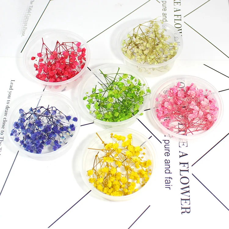5 Boxes Gypsophila Natural Dried Flower Filler For Epoxy Resin in the Glass Globe Bottle Diy Making Handmade Jewelry
5 Boxes Gypsophila Natural Dried Flower Filler For Epoxy Resin in the Glass Globe Bottle Diy Making Handmade Jewelry