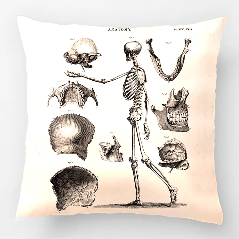 Skeleton Antique Anatomy Skeletonss Wedding Decorative Cushion Cover Pillow Case Customize Gift By Lvsure For Seat Pillowcase
Skeleton Antique Anatomy Skeletonss Wedding Decorative Cushion Cover Pillow Case Customize Gift By Lvsure For Seat Pillowcase