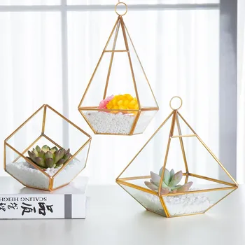 Succulent Plant Micro Landscape Terrarium Bonsai Polyhedron Clear Glass Terrarium Box Balcony Pot Geometric Plant Planter DQ9158
Succulent Plant Micro Landscape Terrarium Bonsai Polyhedron Clear Glass Terrarium Box Balcony Pot Geometric Plant Planter DQ9158