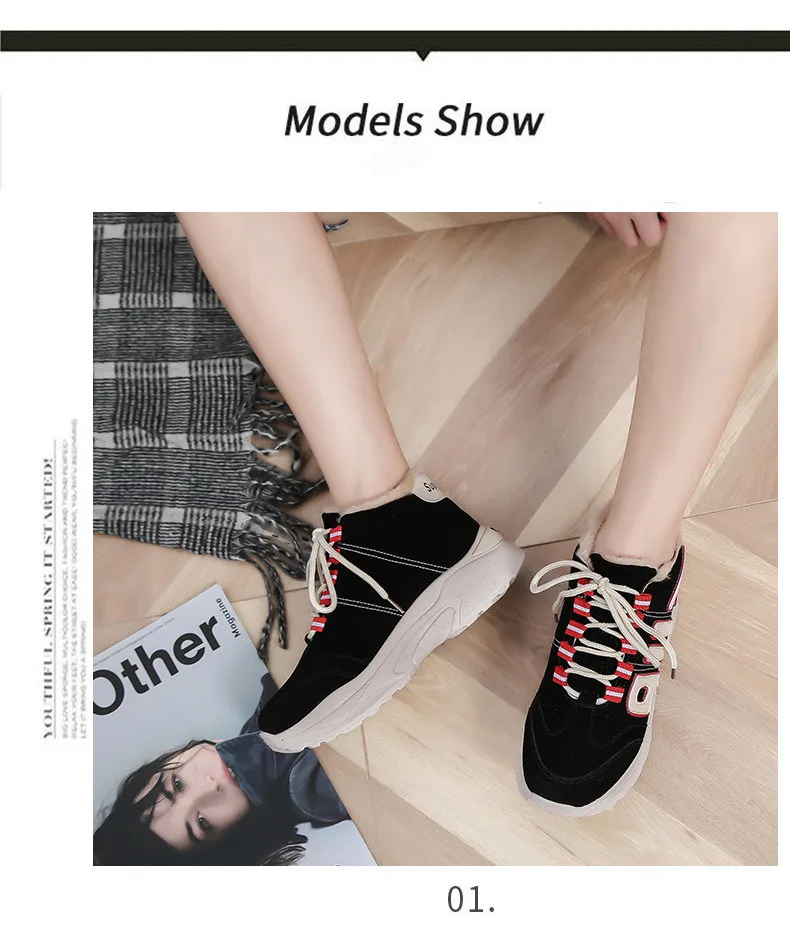 9519324560_1244332661