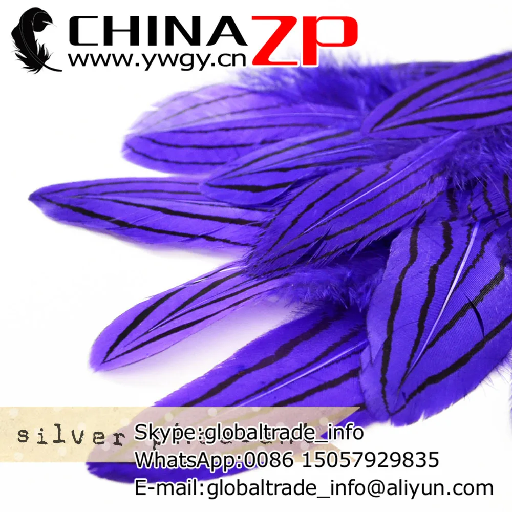 Leading Supplier CHINAZP Factory 2000pcs/lot 8~10cm Length Cheap Good Quality Dyed Purple Silver Pheasant Plumage Feathers
Leading Supplier CHINAZP Factory 2000pcs/lot 8~10cm Length Cheap Good Quality Dyed Purple Silver Pheasant Plumage Feathers