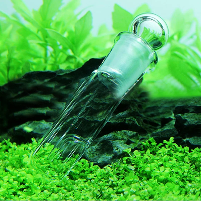 Fish Tank Planaria Cleaning Tools Snail Leech Vivarium Pest Catch Trap Worm Planaria Leech Catcher 2 Holes Aquario Accessory
Fish Tank Planaria Cleaning Tools Snail Leech Vivarium Pest Catch Trap Worm Planaria Leech Catcher 2 Holes Aquario Accessory