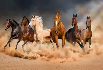 Vinyl Photography Background Horses Speeding Racing Wall Photography Backgrounds Photographic Backdrop for photo studio
Vinyl Photography Background Horses Speeding Racing Wall Photography Backgrounds Photographic Backdrop for photo studio