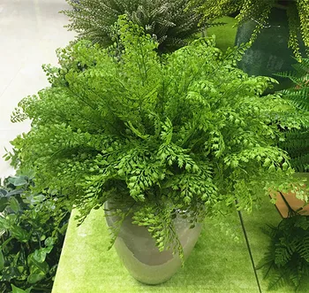 10PCS/ The 7 forks of ginkgo leaf flower simulation silk flowers plant simulation forest leaves with floral wedding props
10PCS/ The 7 forks of ginkgo leaf flower simulation silk flowers plant simulation forest leaves with floral wedding props