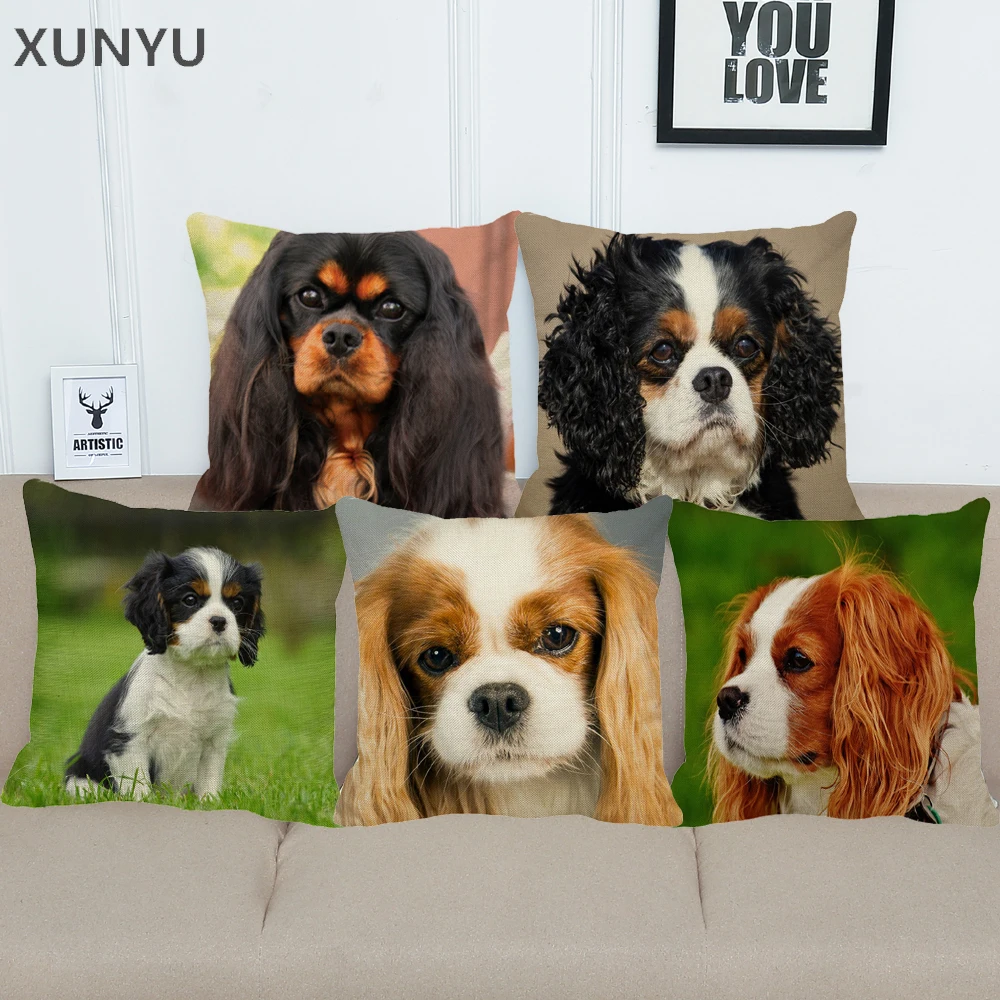 XUNYU Cavalier King Charles Pillowcase Home Sofa Square Pillow Cover Cute Animal Pattern Decorative Cushion Cover 45X45cm AC021
XUNYU Cavalier King Charles Pillowcase Home Sofa Square Pillow Cover Cute Animal Pattern Decorative Cushion Cover 45X45cm AC021