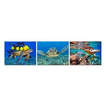 3 Pieces diamond painting Blue Sea Turtles Swimming Underwater In Deep Ocean full square Round drill diamond embroideryZP-2518
3 Pieces diamond painting Blue Sea Turtles Swimming Underwater In Deep Ocean full square Round drill diamond embroideryZP-2518