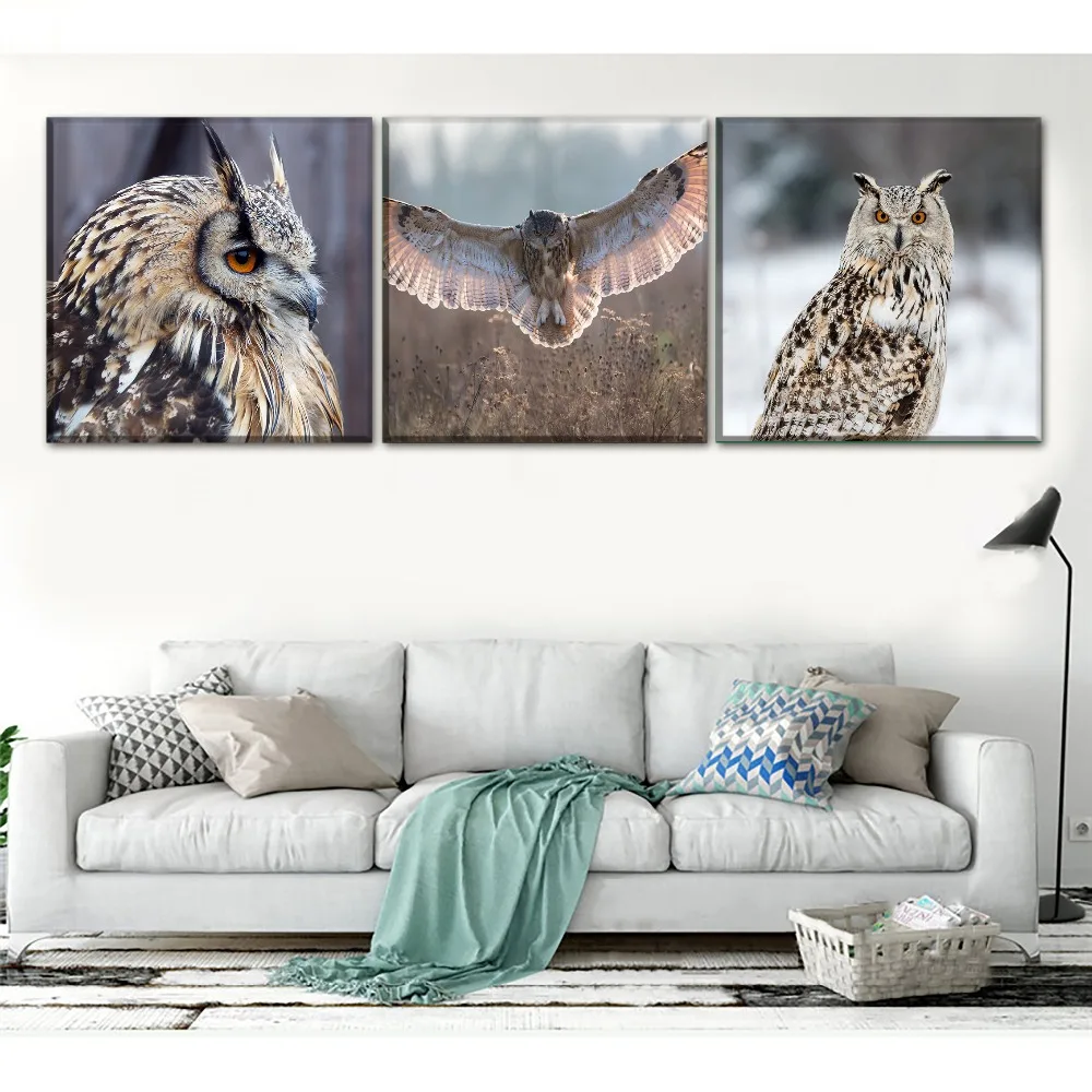 Modern Home Decorative Canvas Painting Printed Poster Living Room Wall Art Framework 3Piece/1Pcs Animal Owl Picture Chambotrade
Modern Home Decorative Canvas Painting Printed Poster Living Room Wall Art Framework 3Piece/1Pcs Animal Owl Picture Chambotrade