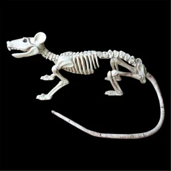 Nice Skeleton Rat 100% Plastic Animal Skeleton Bones for Halloween Decoration Horror
Nice Skeleton Rat 100% Plastic Animal Skeleton Bones for Halloween Decoration Horror