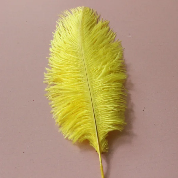 Hot! 100 Pcs Natural 15-20cm / 6-8 inch yellow Color Ostrich Feathers ostrich plumes for party wedding decorative
Hot! 100 Pcs Natural 15-20cm / 6-8 inch yellow Color Ostrich Feathers ostrich plumes for party wedding decorative