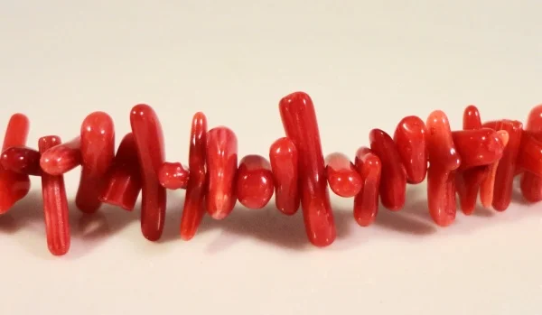 2017 Limited Real Coral Branch Beads 4x1 9x2mm Small Dyed Chip On A Full 15 14 Inch Strand With Approximately 200 
2017 Limited Real Coral Branch Beads 4x1 9x2mm Small Dyed Chip On A Full 15 14 Inch Strand With Approximately 200