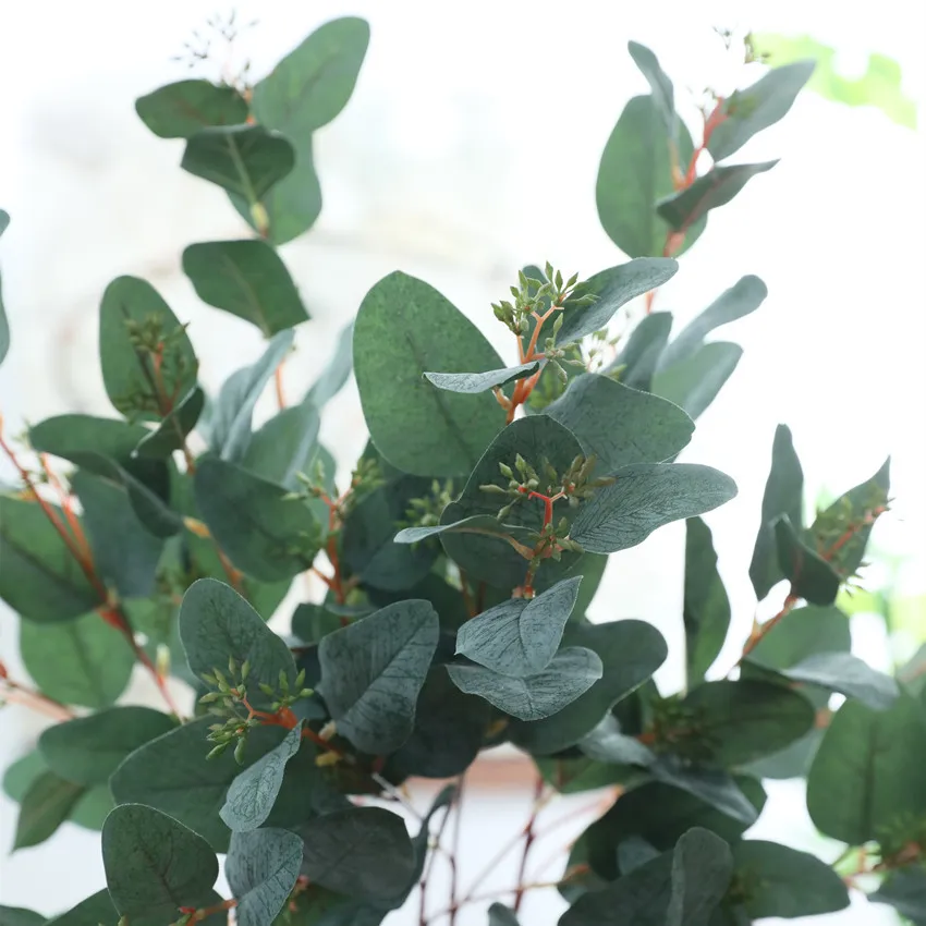Artificial Berries Green Eucalyptus Branches Fake Fruits Leaf for Home Shop Wedding Floral Arrangement Decoration
Artificial Berries Green Eucalyptus Branches Fake Fruits Leaf for Home Shop Wedding Floral Arrangement Decoration