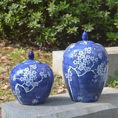Chinese Household Decoration Blue And White Porcelain Wax Gourd Pot Plum Blossom Pattern Porcelain Decoration Pot Ceramic jar
Chinese Household Decoration Blue And White Porcelain Wax Gourd Pot Plum Blossom Pattern Porcelain Decoration Pot Ceramic jar
