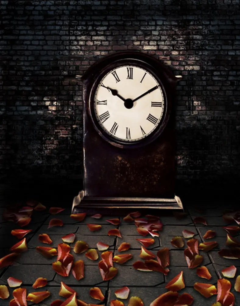 Vintage Brick Wall Clock Petal Photography Backdrops Photo Props Studio Background 5x7ft
Vintage Brick Wall Clock Petal Photography Backdrops Photo Props Studio Background 5x7ft