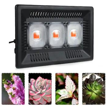 Led Grow Light Full Spectrum 100W 200W 300W IP67 COB Grow LED Flood light for Plant Indoor Outdoor Hydroponic Greenhouse
Led Grow Light Full Spectrum 100W 200W 300W IP67 COB Grow LED Flood light for Plant Indoor Outdoor Hydroponic Greenhouse