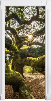 Door Sticker 3D Stereo Huge Tree Photo Mural Wallpaper Vinyl Wall Decals Kid Door Mural Bedroom Door Stickers Home Decor
Door Sticker 3D Stereo Huge Tree Photo Mural Wallpaper Vinyl Wall Decals Kid Door Mural Bedroom Door Stickers Home Decor
