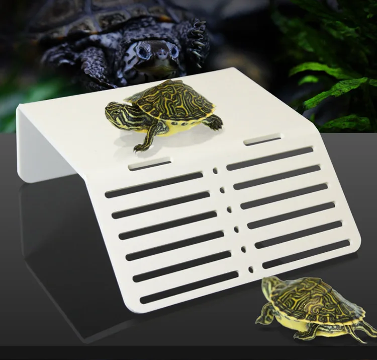 Turtle fairyland Pier Topper Basking Platform steps landing island mini nano simple aquarium tank arcylic reptile single style
Turtle fairyland Pier Topper Basking Platform steps landing island mini nano simple aquarium tank arcylic reptile single style