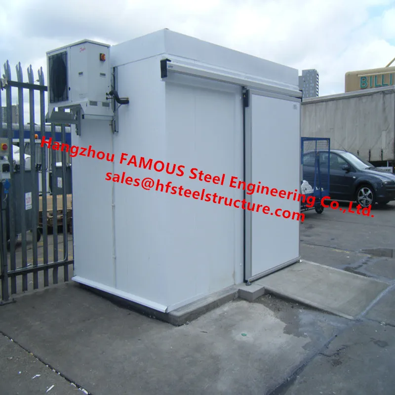 Mini Cold Camera With Integrated Condensing unit Small Home Walk In Freezer For Fruit Vegetables and Meat Storage
Mini Cold Camera With Integrated Condensing unit Small Home Walk In Freezer For Fruit Vegetables and Meat Storage