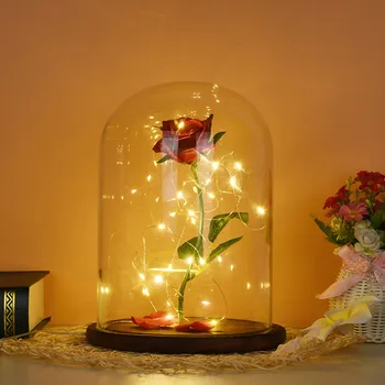 100% Brand New High Quality Romantic Immortal Flower Micro Landscape Rose Simulation Glass Shade Led Llight Drop Shipping
100% Brand New High Quality Romantic Immortal Flower Micro Landscape Rose Simulation Glass Shade Led Llight Drop Shipping