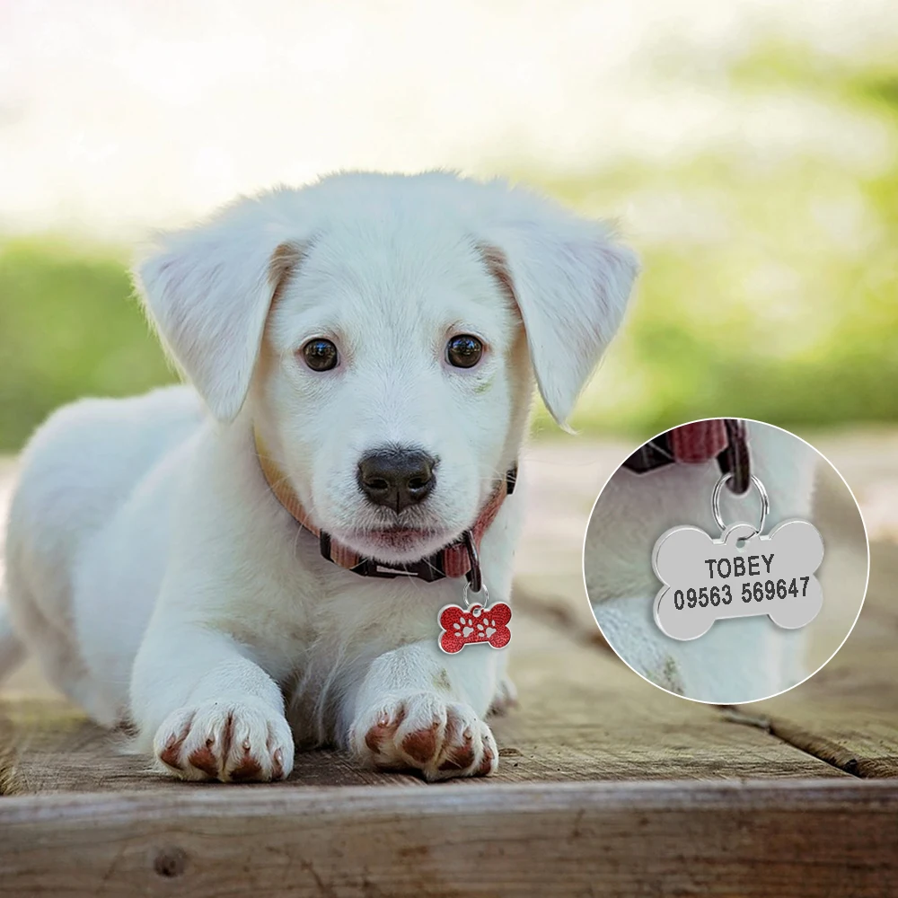 High-Quality Pet Keychain – Personalized Anti-Lost Dog ID Tag Bone Shape for Collar | AnoPetShop