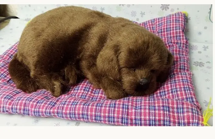 large 30x25cm sleepy Labrador retriever model with mat ,polyethylene& furs handicraft Figurines home decoration toy gift a2696
large 30x25cm sleepy Labrador retriever model with mat ,polyethylene& furs handicraft Figurines home decoration toy gift a2696