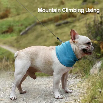 Instant Cooling Pet Bandana Dog Scarf Bulldog Summer Cooling Towel Wrap Dog Collar
Instant Cooling Pet Bandana Dog Scarf Bulldog Summer Cooling Towel Wrap Dog Collar