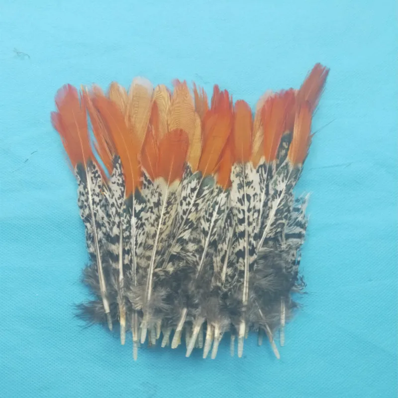 Hot! 10 pc 10-15 cm quality natural Lady Amherst Pheasant feathers, diy jewelry decoration
Hot! 10 pc 10-15 cm quality natural Lady Amherst Pheasant feathers, diy jewelry decoration