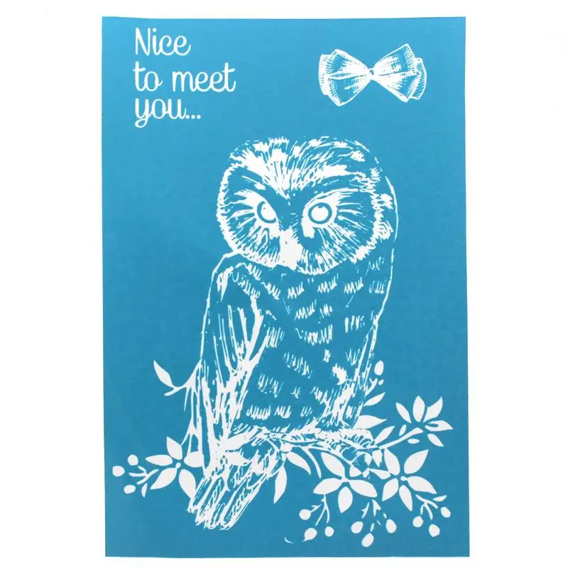 ZFPARTY Lovely Owl Self-Adhesive Silk Screen Printing Art Mesh Designs for DIY Card Making Home Decoration Crafts
ZFPARTY Lovely Owl Self-Adhesive Silk Screen Printing Art Mesh Designs for DIY Card Making Home Decoration Crafts