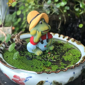 Farmer Man Frog Garden Statues Potted Plant Decorative Sculptures Cartoon Frog Flowerpot Decorations Ceramic Horticultural Decor
Farmer Man Frog Garden Statues Potted Plant Decorative Sculptures Cartoon Frog Flowerpot Decorations Ceramic Horticultural Decor