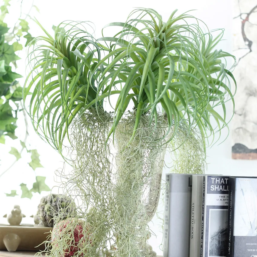Large Artificial Air Grass Fake Plastic Pineapple Plant Vine Hanging Leaves Garland Home Wedding Wall Decoration
Large Artificial Air Grass Fake Plastic Pineapple Plant Vine Hanging Leaves Garland Home Wedding Wall Decoration