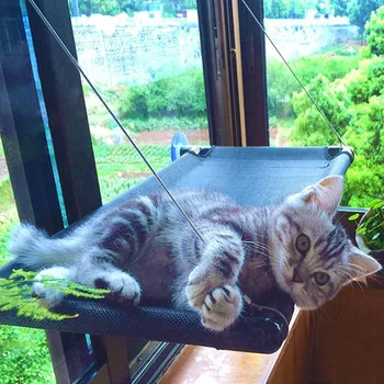 Cat Window Perch Hammock Cat Bed with Upgraded Version 4 Suction Cups, Safest Cat Bed for Large Cat can Holds Up to 50lbs (Black
Cat Window Perch Hammock Cat Bed with Upgraded Version 4 Suction Cups, Safest Cat Bed for Large Cat can Holds Up to 50lbs (Black